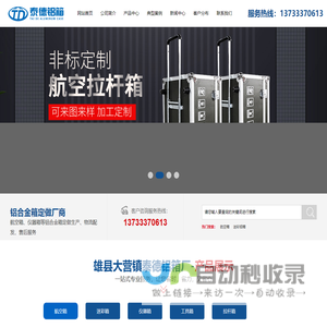 航空箱厂家_仪器箱定做_铝合金箱生产厂家-雄县泰德铝箱厂